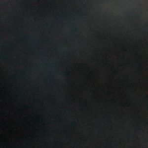 Meet your Posher, Dorien